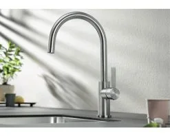 BLANCO Keukenkraan Candor RVS 9 BLANCO Keukenkraan Candor RVS -Spoelbakken Verkoop DV 8 6620017 02 4c CZ 20190912171653