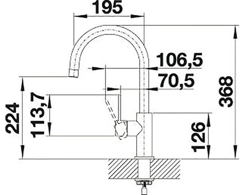BLANCO Keukenkraan Candor RVS 2 BLANCO Keukenkraan Candor RVS - Afbeelding 2