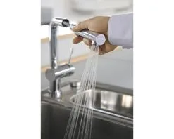 BLANCO Keukenkraan Met Uittrekbare Handdouche Linus-S Vario Chroom 9 BLANCO Keukenkraan Met Uittrekbare Handdouche Linus-S Vario Chroom -Spoelbakken Verkoop DV 8 8897815 04 4c DE 20210129051753